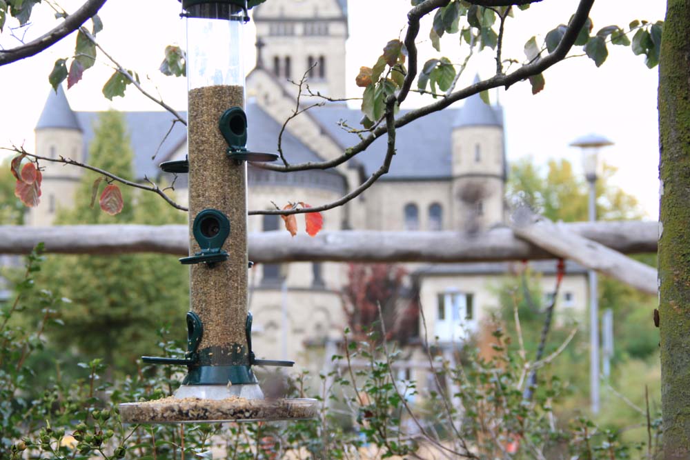 Respekt vor der Natur gehört zur Nachhaltigkeit